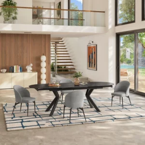 chaises spinne lot de 2